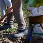 Calendario delle semine di settembre 2025: cosa fare in giardino e nell'orto Calendario delle semine di settembre 2025: cosa fare in giardino