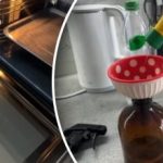 Come pulire facilmente il vetro interno del forno: un efficace rimedio casalingo Come pulire facilmente il vetro interno del forno: un efficace