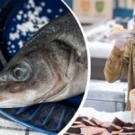 Come scegliere il pesce fresco in negozio: i segnali che