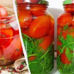 I pomodori sottaceto "Vintage" non si distinguono dai pomodori da barile: li mangiamo insieme alla salamoia I pomodori sottaceto “Vintage” non si distinguono dai pomodori da