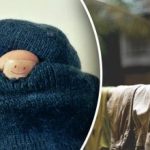 I vestiti non dovrebbero essere asciugati sul termosifone: gli esperti hanno indicato due ragioni per questo motivo I vestiti non dovrebbero essere asciugati sul termosifone: gli esperti