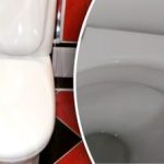 L'aceto non è più necessario: un rimedio inaspettato per una tazza del water perfettamente pulita L’aceto non è più necessario: un rimedio inaspettato per una