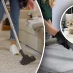 Non rimarrà nemmeno una traccia: 7 passaggi per eliminare l'odore di urina dal tappeto Non rimarrà nemmeno una traccia: 7 passaggi per eliminare l’odore