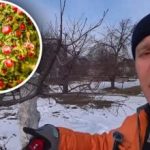 Ringiovanimento dei vecchi alberi da frutto: tre semplici passi per